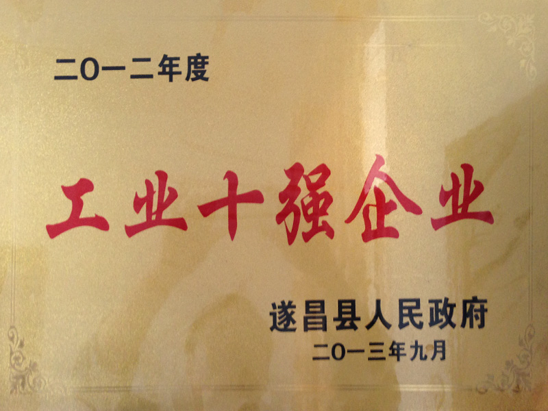 2012年遂昌工業(yè)十強企業(yè)