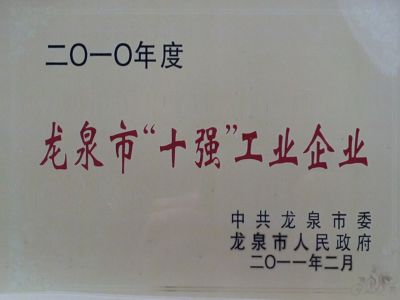 2010龍泉十強工業(yè)企業(yè)